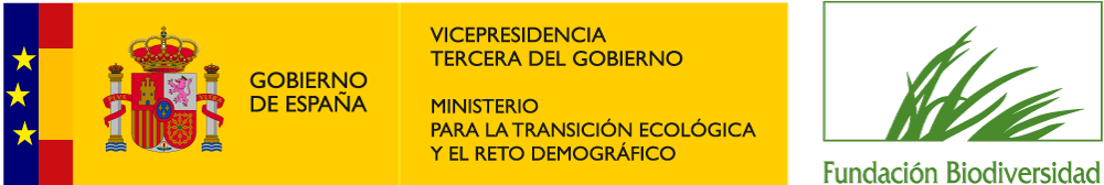 VICE3+MITECO+FB_Banderas_color